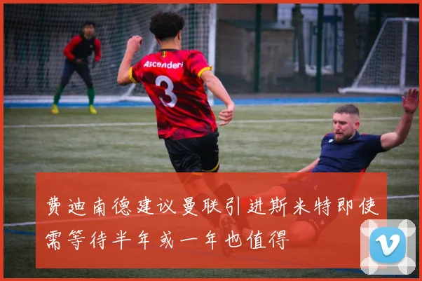 费迪南德建议曼联引进斯米特即使需等待半年或一年也值得